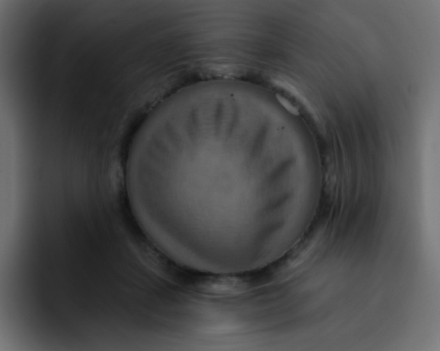 X0000092110459200710031234