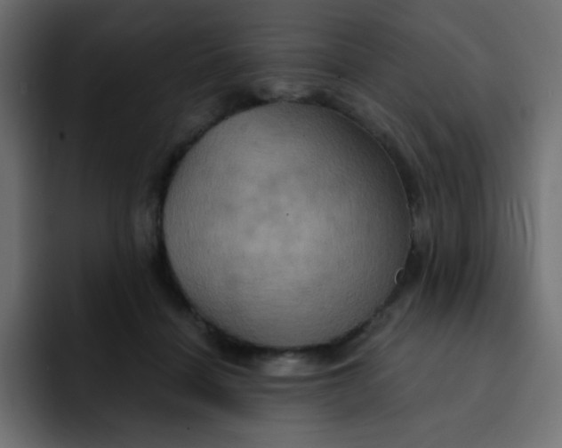 X0000092110460200710031234