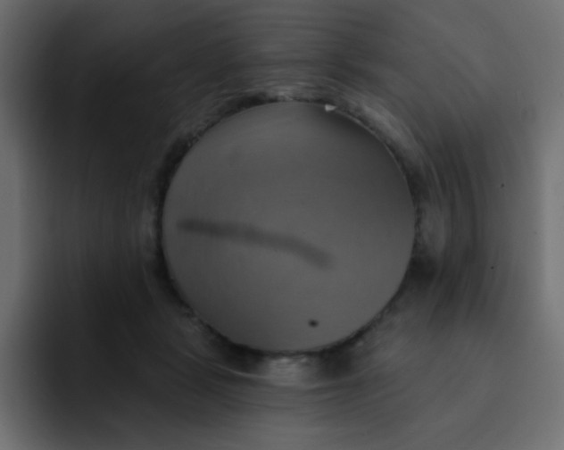 X0000092110461200710031234