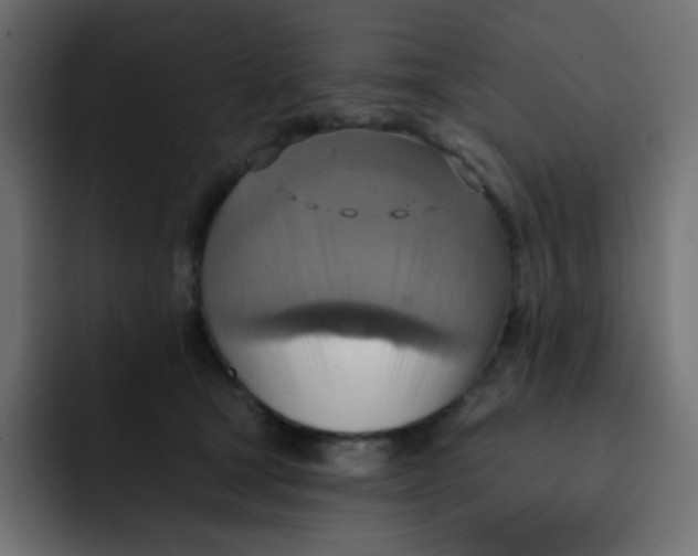 X0000092110465200710031234