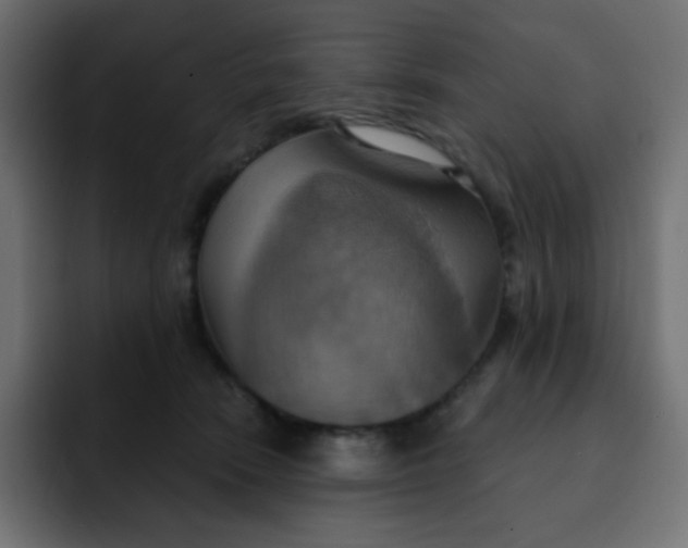 X0000092110466200710031234