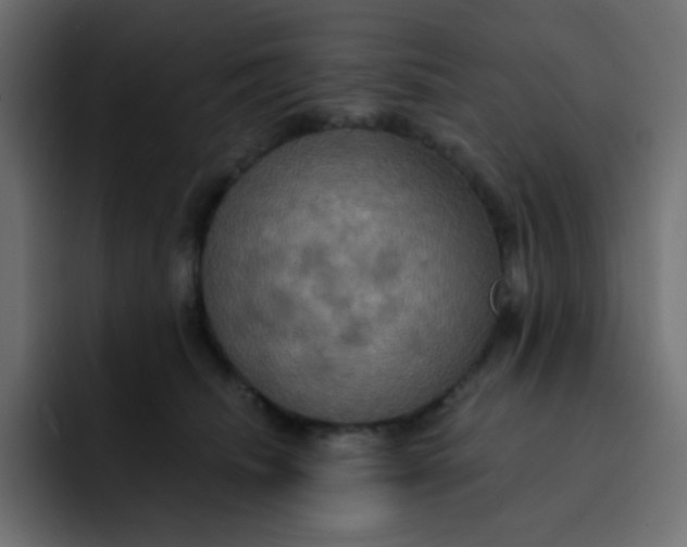 X0000092110468200710031234