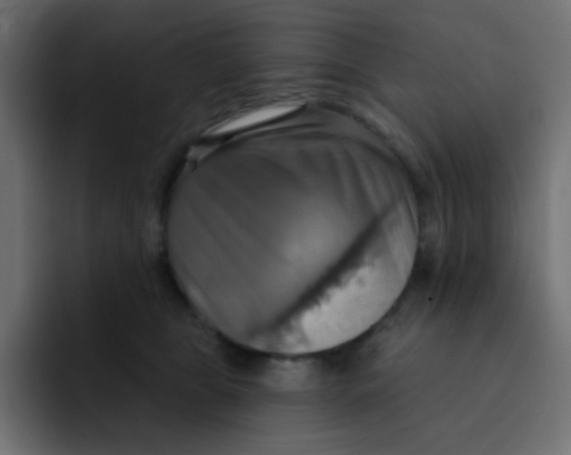 X0000092110469200710031234