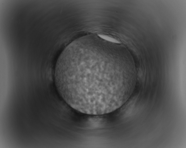 X0000092110470200710031234