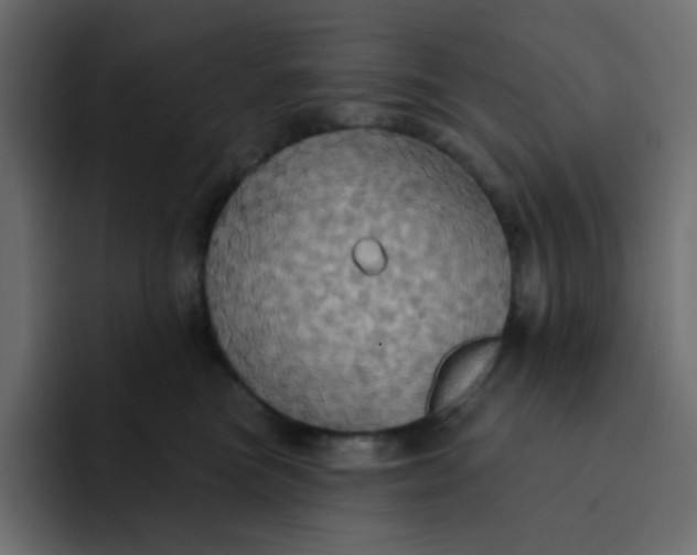 X0000092110473200710031234