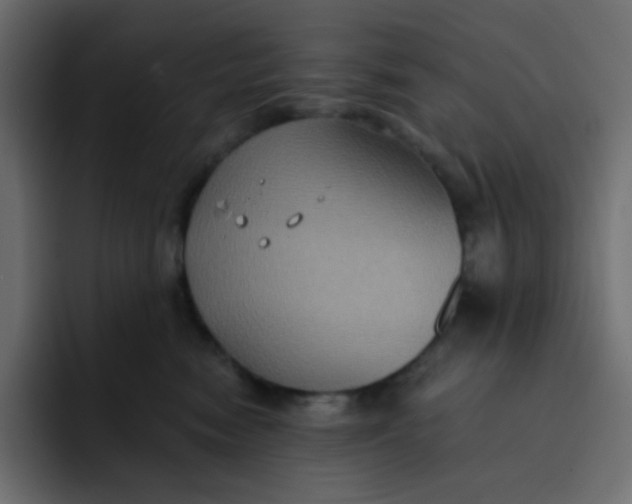 X0000092110474200710031234