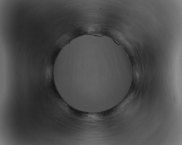 X0000092110475200710031234