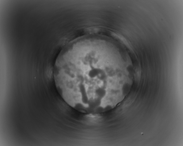 X0000092110477200710031234