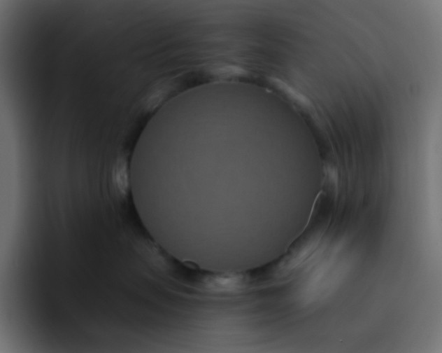 X0000092110479200710031234