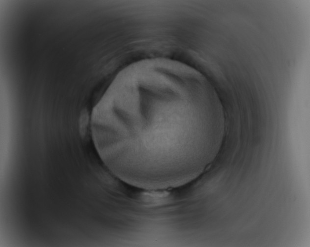 X0000092110480200710031234