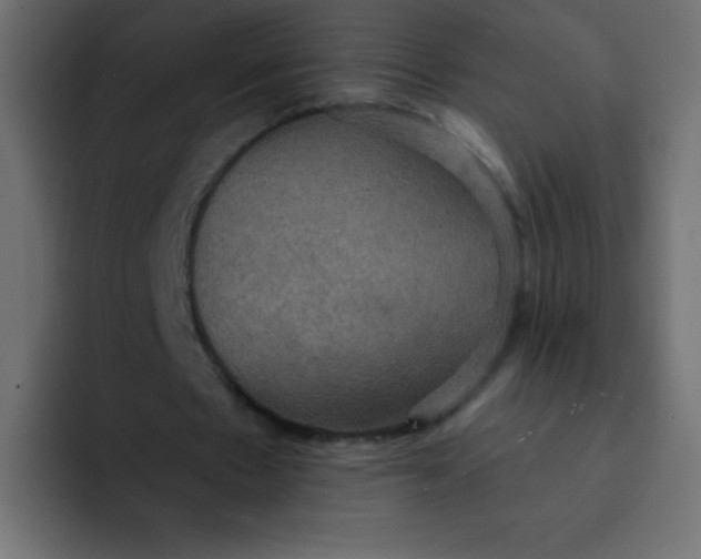 X0000092110481200710031233