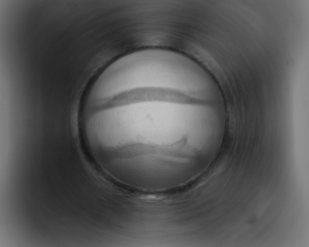 X0000092110482200710031233