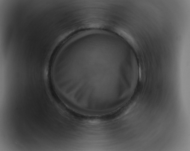 X0000092110483200710031233