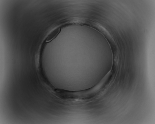 X0000092110484200710031233