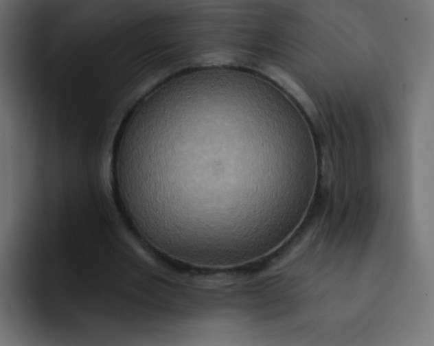 X0000092110485200710031233