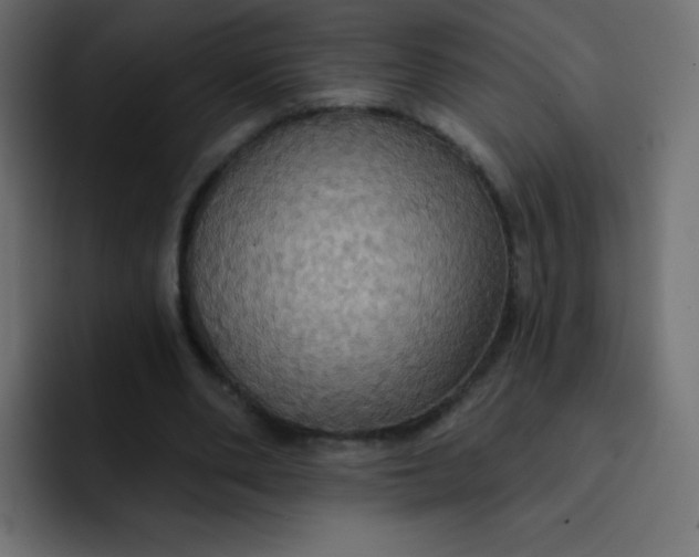 X0000092110486200710031233