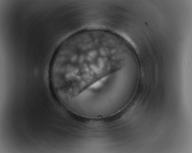 X0000092110487200710031233