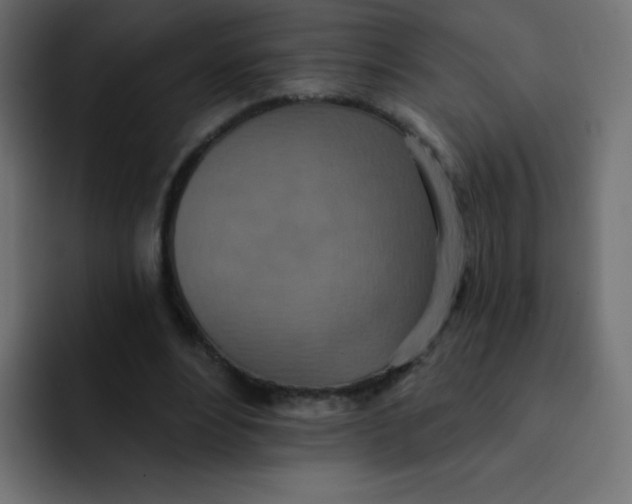 X0000092110488200710031233