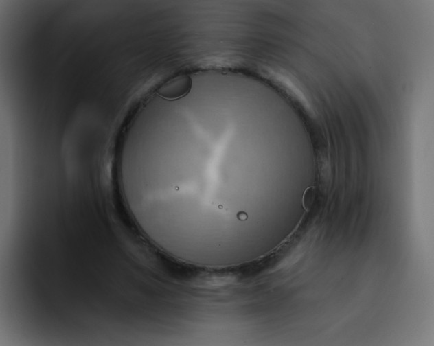 X0000092110491200710031233