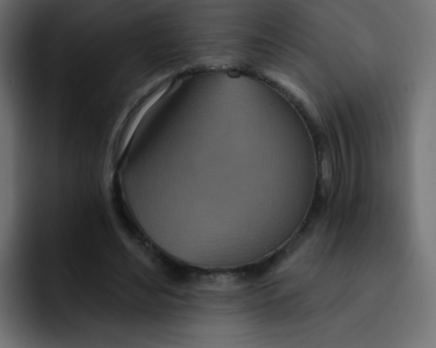 X0000092110492200710031233