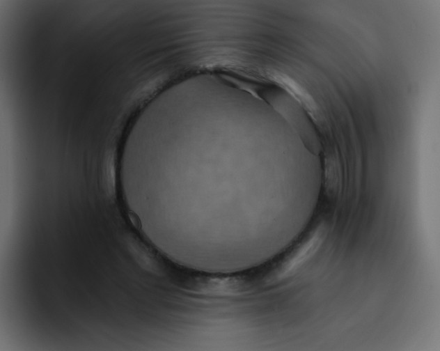 X0000092110493200710031233