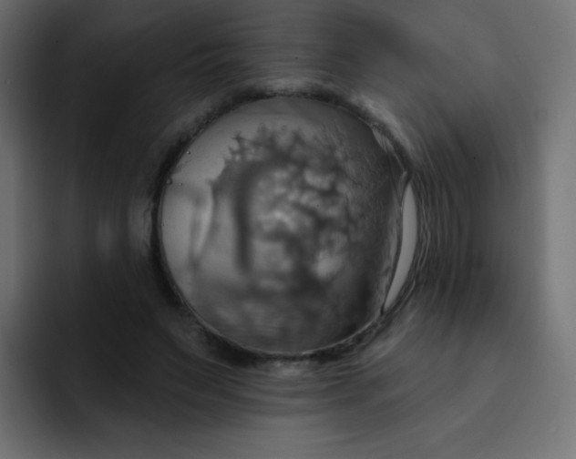 X0000092110495200710031233