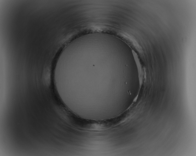 X0000092110496200710031233