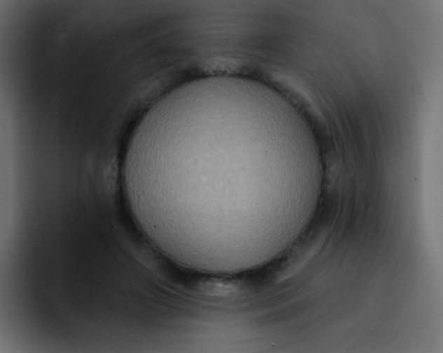 X0000092110498200710031233