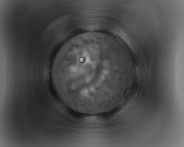 X0000092110499200710031233