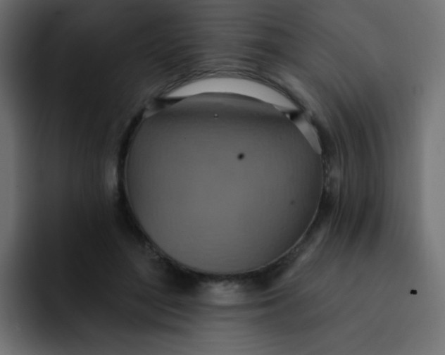 X0000092110500200710031233