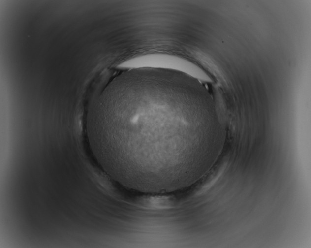 X0000092110501200710031233