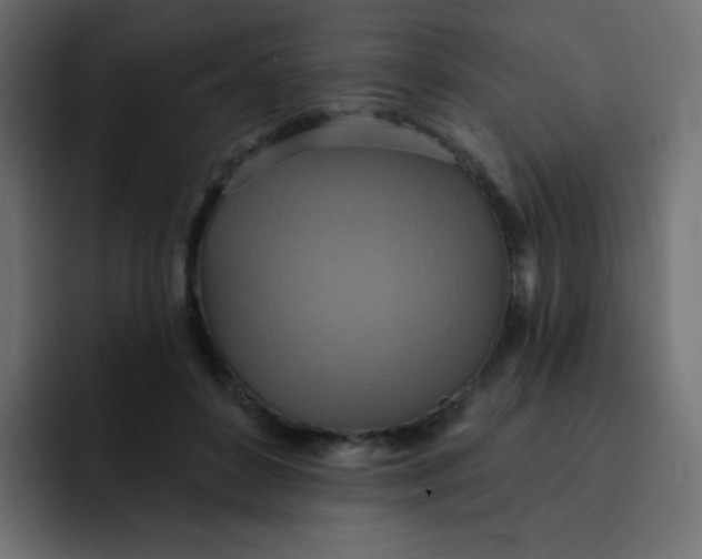 X0000092110504200710031233