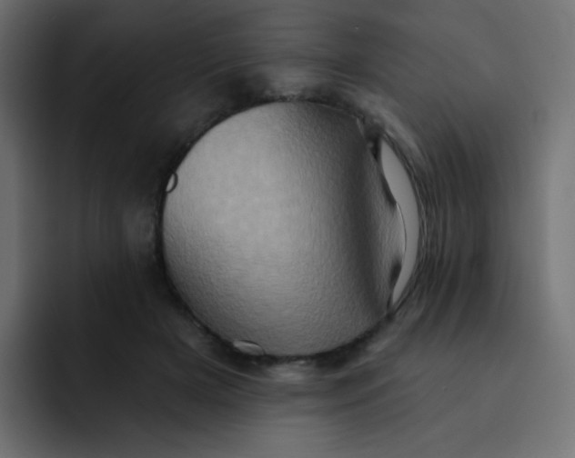 X0000092110505200710031233