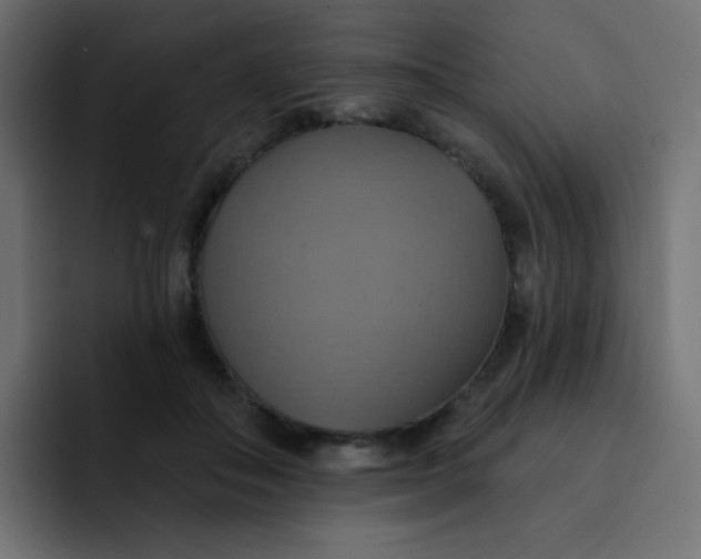 X0000092110506200710031233