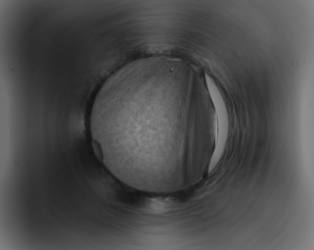 X0000092110508200710031233