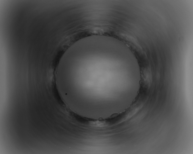 X0000092110511200710031233