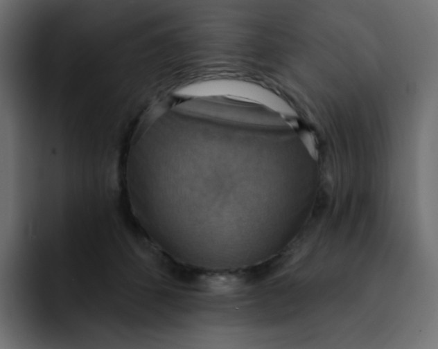 X0000092110512200710031233