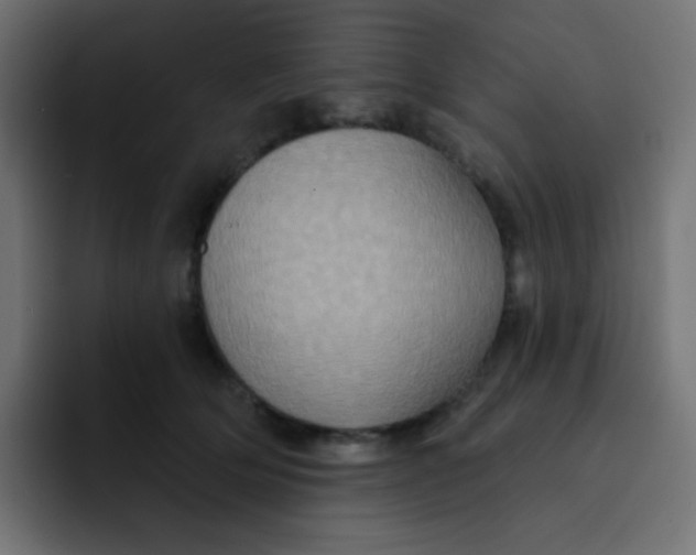 X0000092110514200710031233