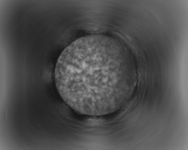 X0000092110515200710031233