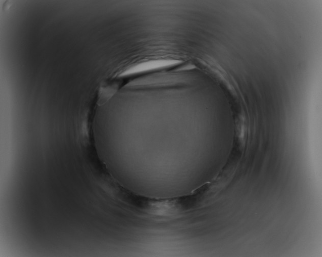 X0000092110516200710031233