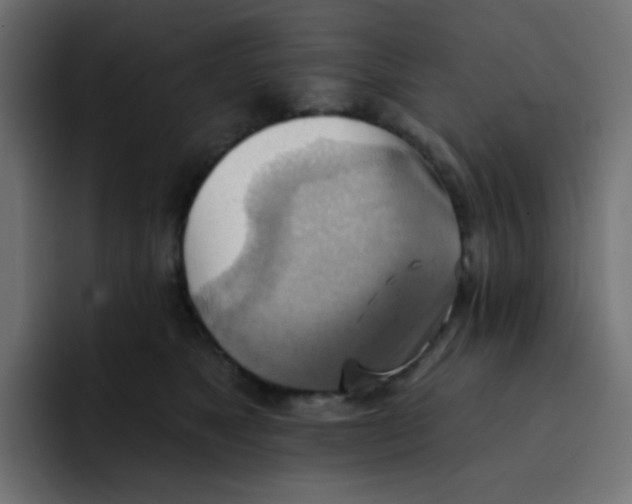 X0000092110517200710031233