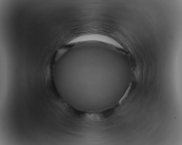 X0000092110520200710031233