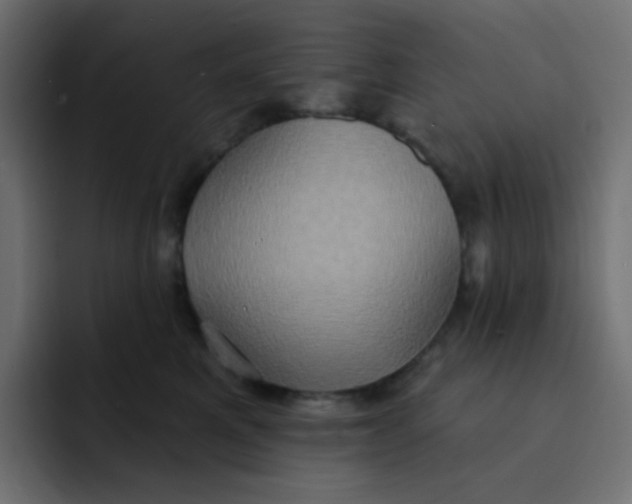 X0000092110521200710031233