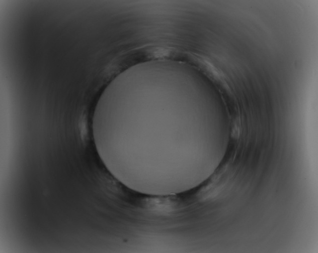 X0000092110524200710031233