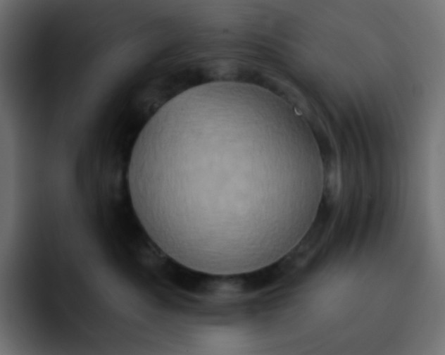 X0000092110525200710031233