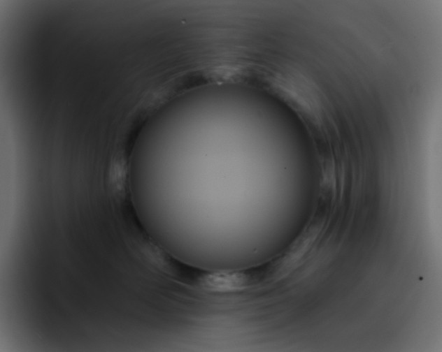 X0000092110526200710031233