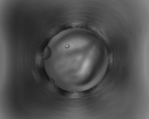 X0000092110527200710031233