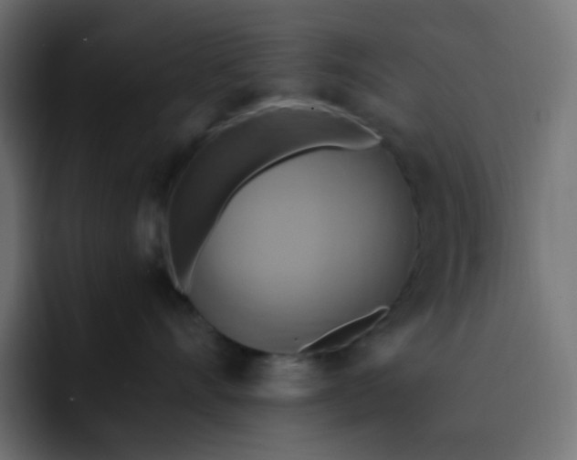 X0000092110528200710031233