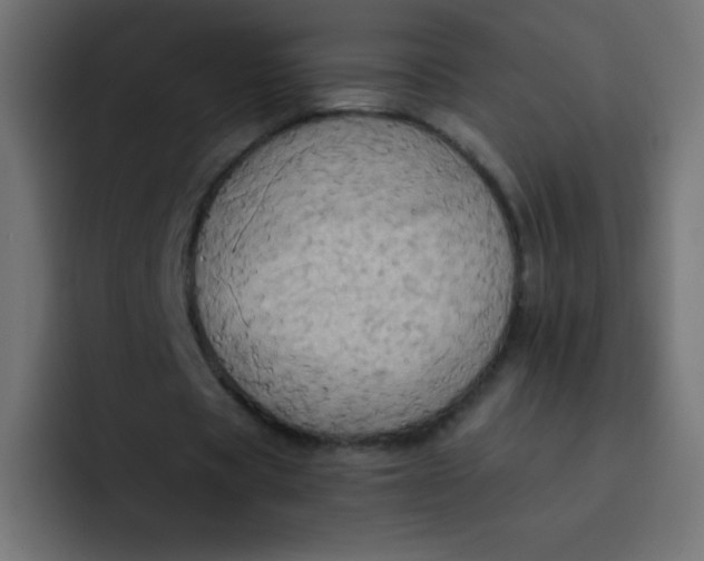 X0000092110529200710031232