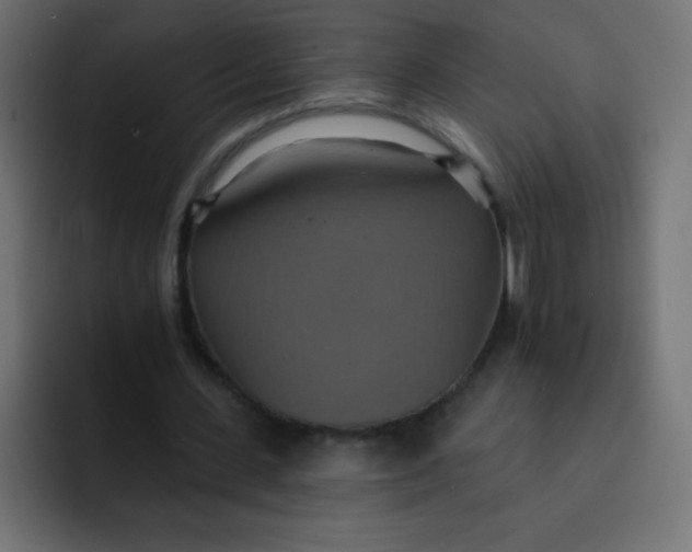 X0000092110531200710031232